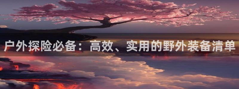 新宝GG手机客户端
