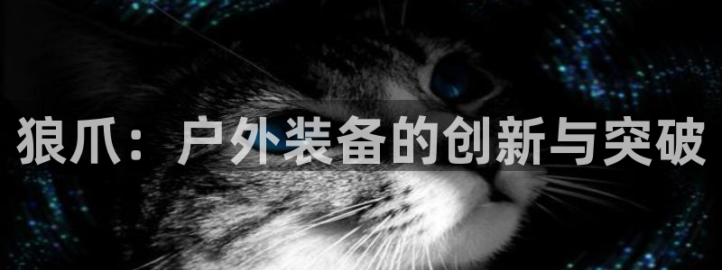 新宝 gg最新