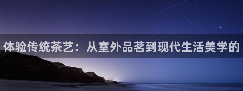 新宝gg代理