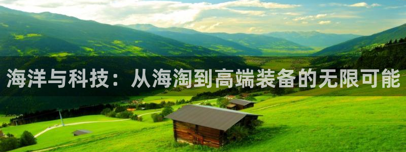 新宝gg代