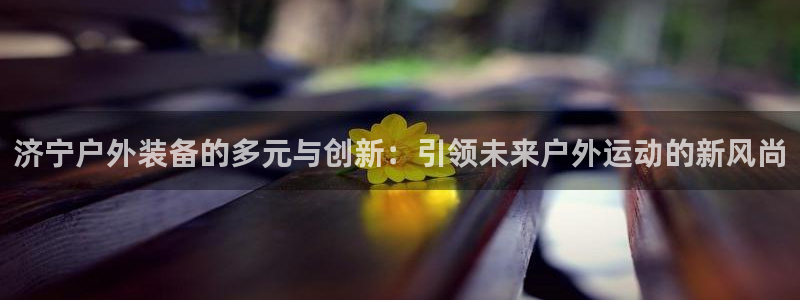 新宝gg试玩