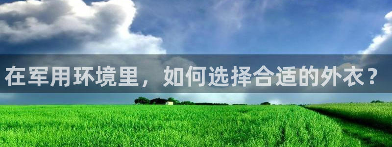 新宝gg平台开发