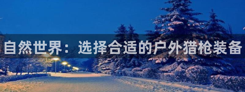 新宝gg客户端下载