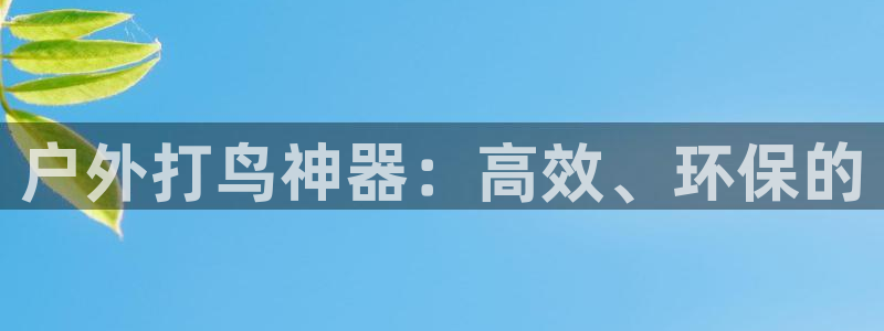 新宝gg软件下载