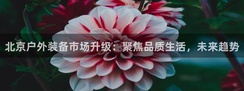 新宝gg返点1956是多少