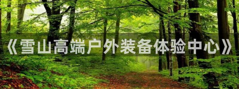 新宝gg平台首页