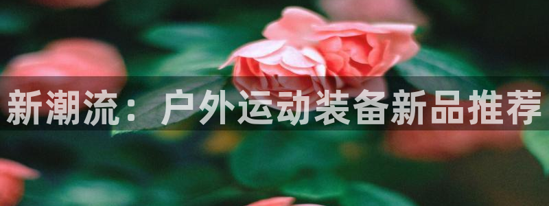 新宝gg娱乐官网