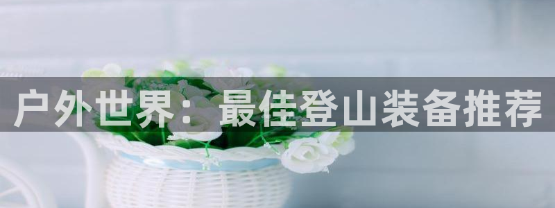 新宝gg真的能赚钱么