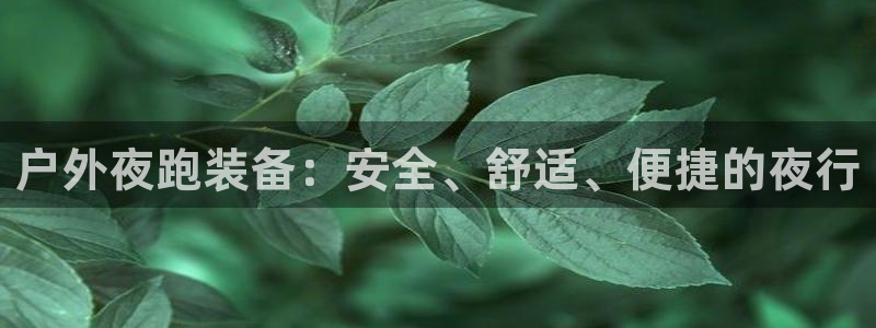 新宝gg客服电话