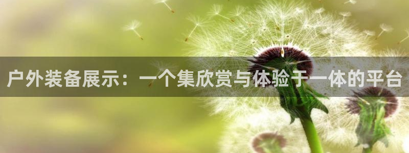 新宝GG娱乐-上皇巢网