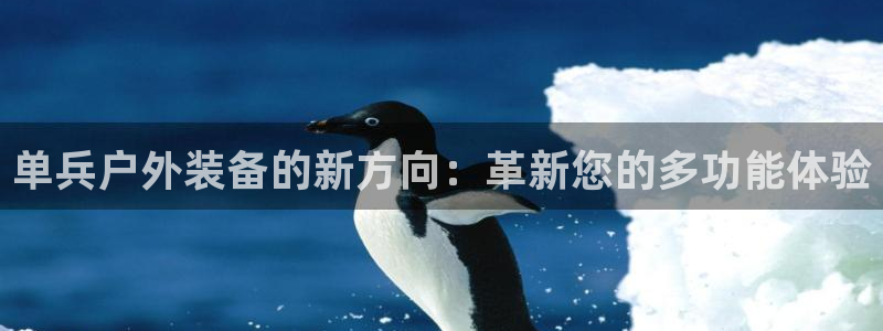 下载新宝gg怎么下载