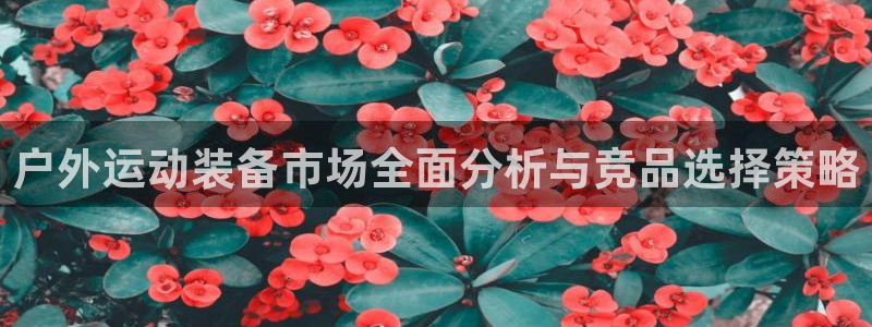 新宝gg创建奇迹