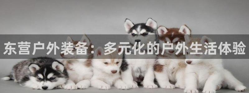 新宝gg娱乐vovq