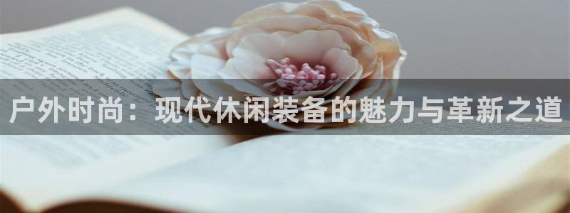 新宝gg 首页