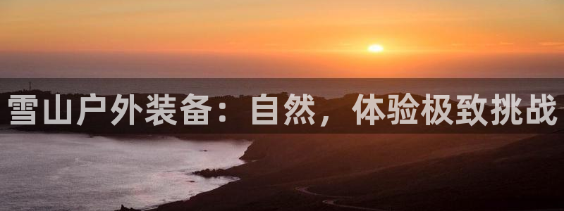 新宝gg手机版下载