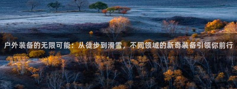 怎么下载新宝gg