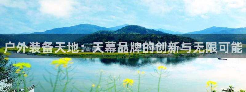 新宝gg挂机软件下载