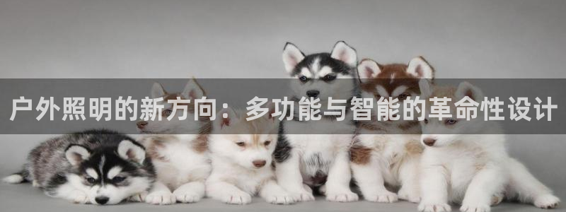 新宝gg找回账号