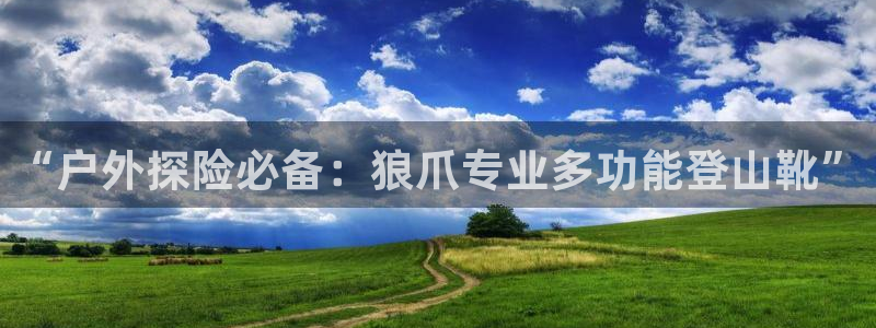 新宝 gg .com