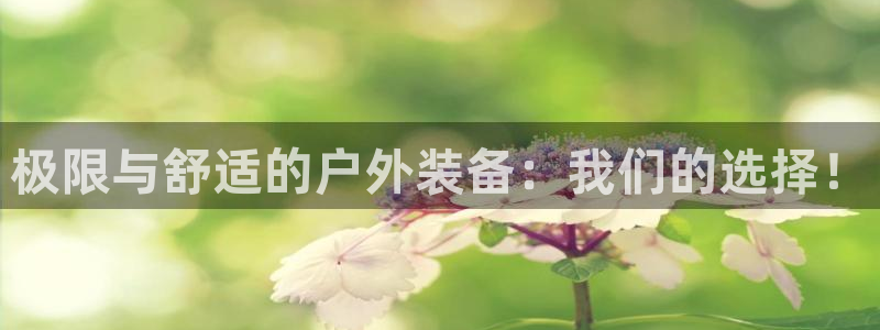 新宝gg手机版下载