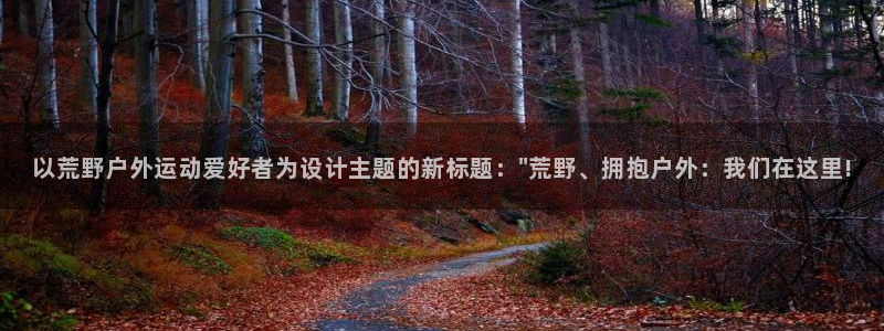 新宝gg画