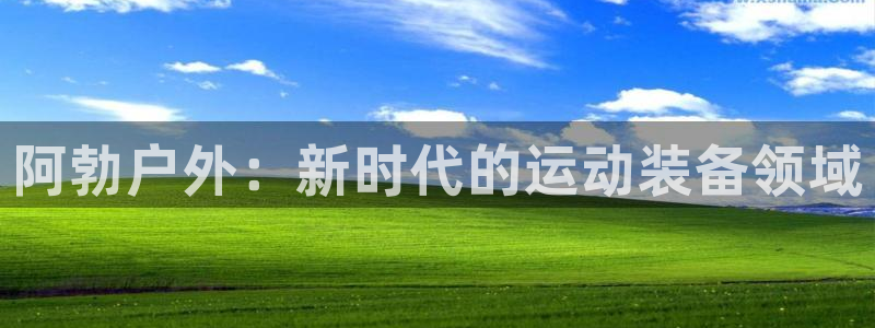 新宝gg客服电话