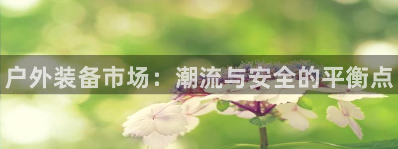 新宝gg—创造