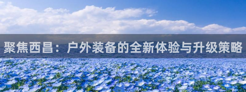 新宝gg干嘛