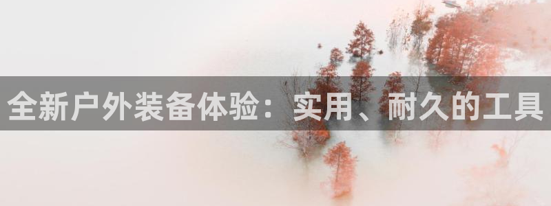 新宝gg__