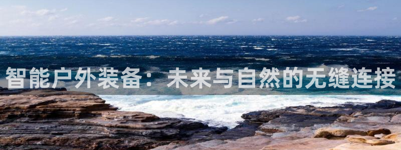 【新宝gg】