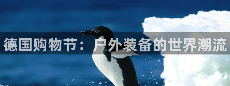 新宝gg怎样代理