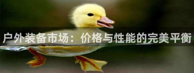 新宝gg彩票