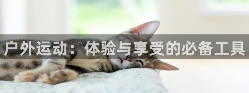 新宝gg创造奇迹