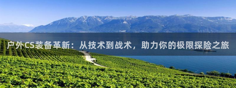 新宝GG53339咨询新宝GG