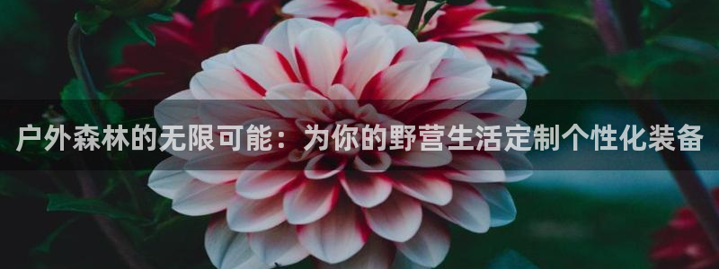 新宝gg官方主管