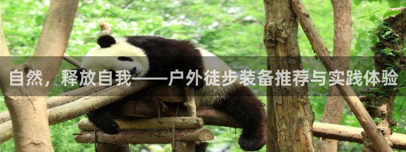 新宝gg入口网址