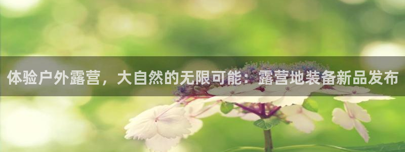 11新宝gg