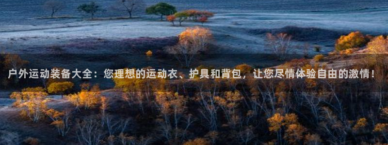 新宝gg是什么