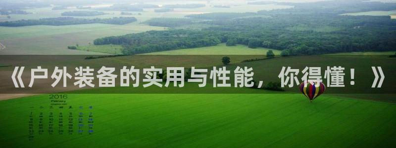 新宝gg挂机软件下载