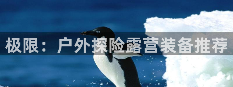 新宝gg 登陆