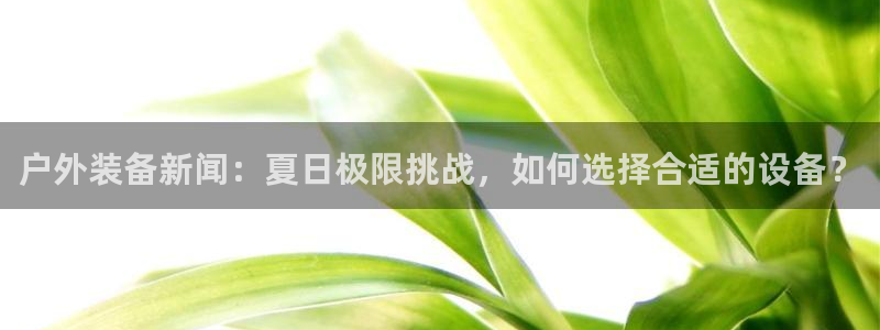 新宝gg指定平台