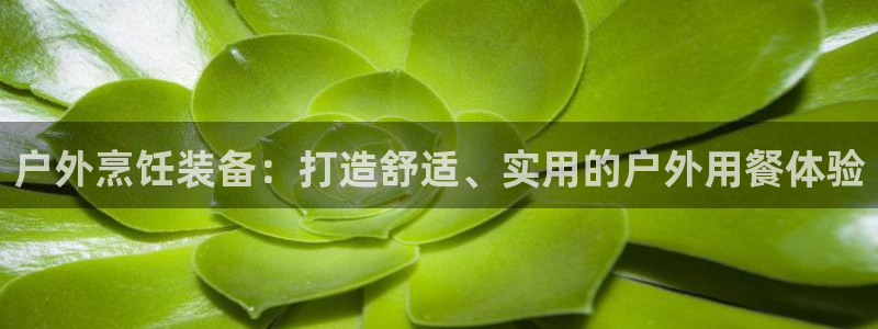 新宝gg主管 9