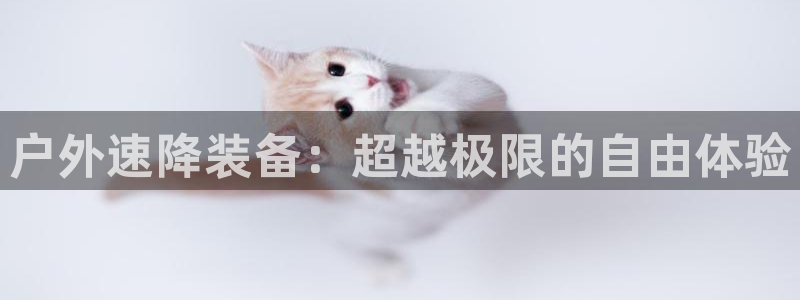 新宝gg娱乐盟主