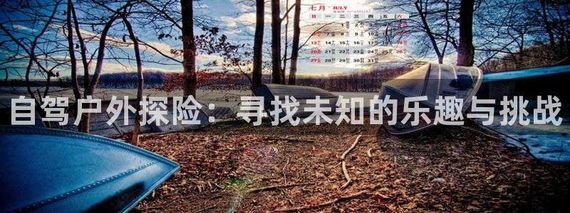 新宝gg有规律么