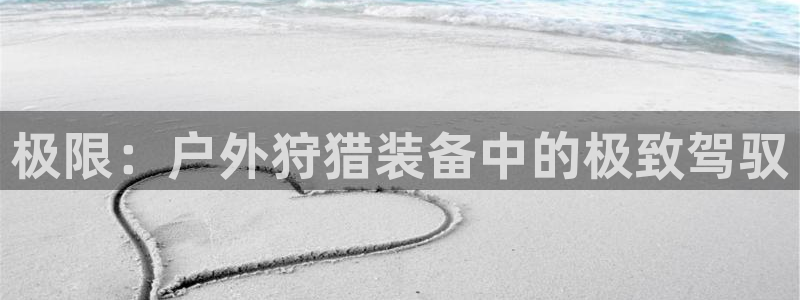 新宝gg是新宝几