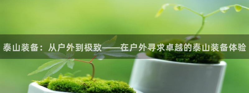 新宝gg手机版下载