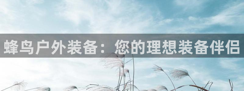 新宝gg在哪开户