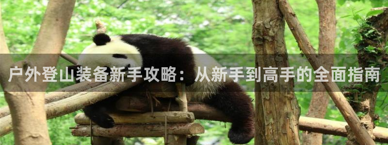 新浪新闻新宝gg