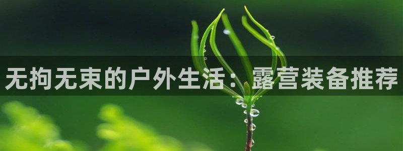 新宝六与新宝gg