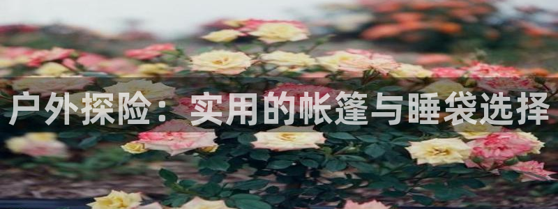 新宝gg创建奇迹